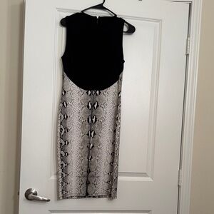 Roberto Cavalli Black and Snake Print Dress